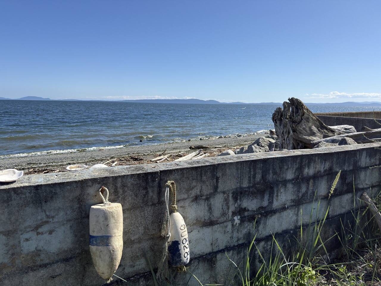 The Beach House on the Salish Sea photo 8