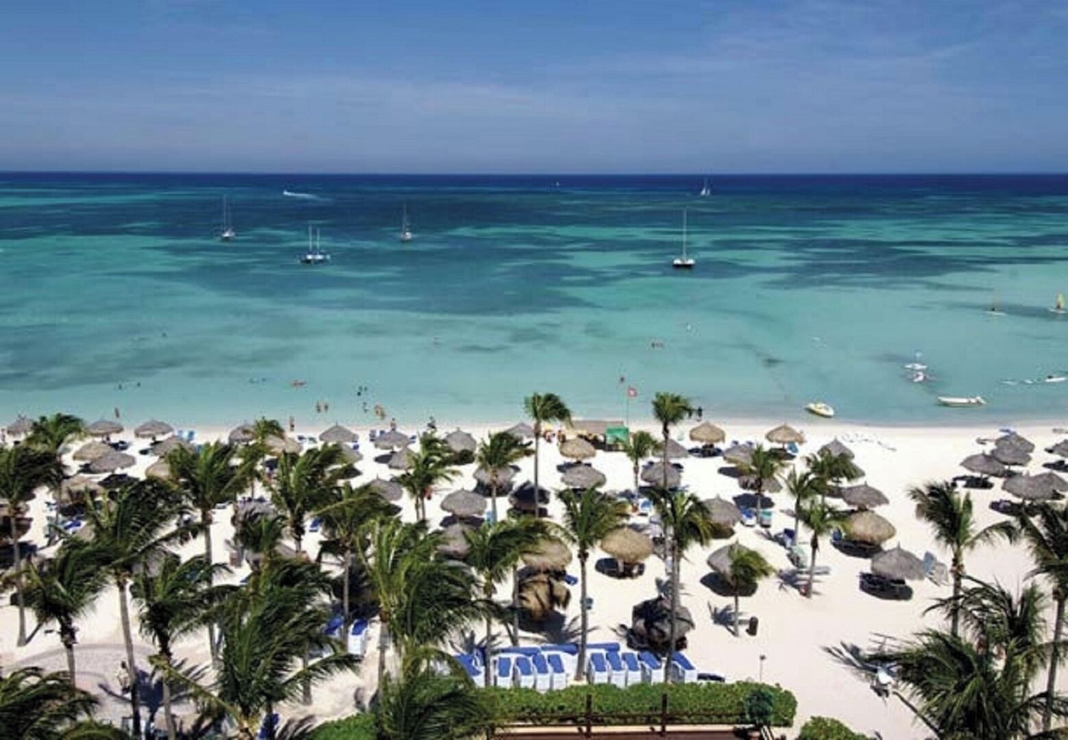 Aruba Surf Club Beachfront Resort Beach
