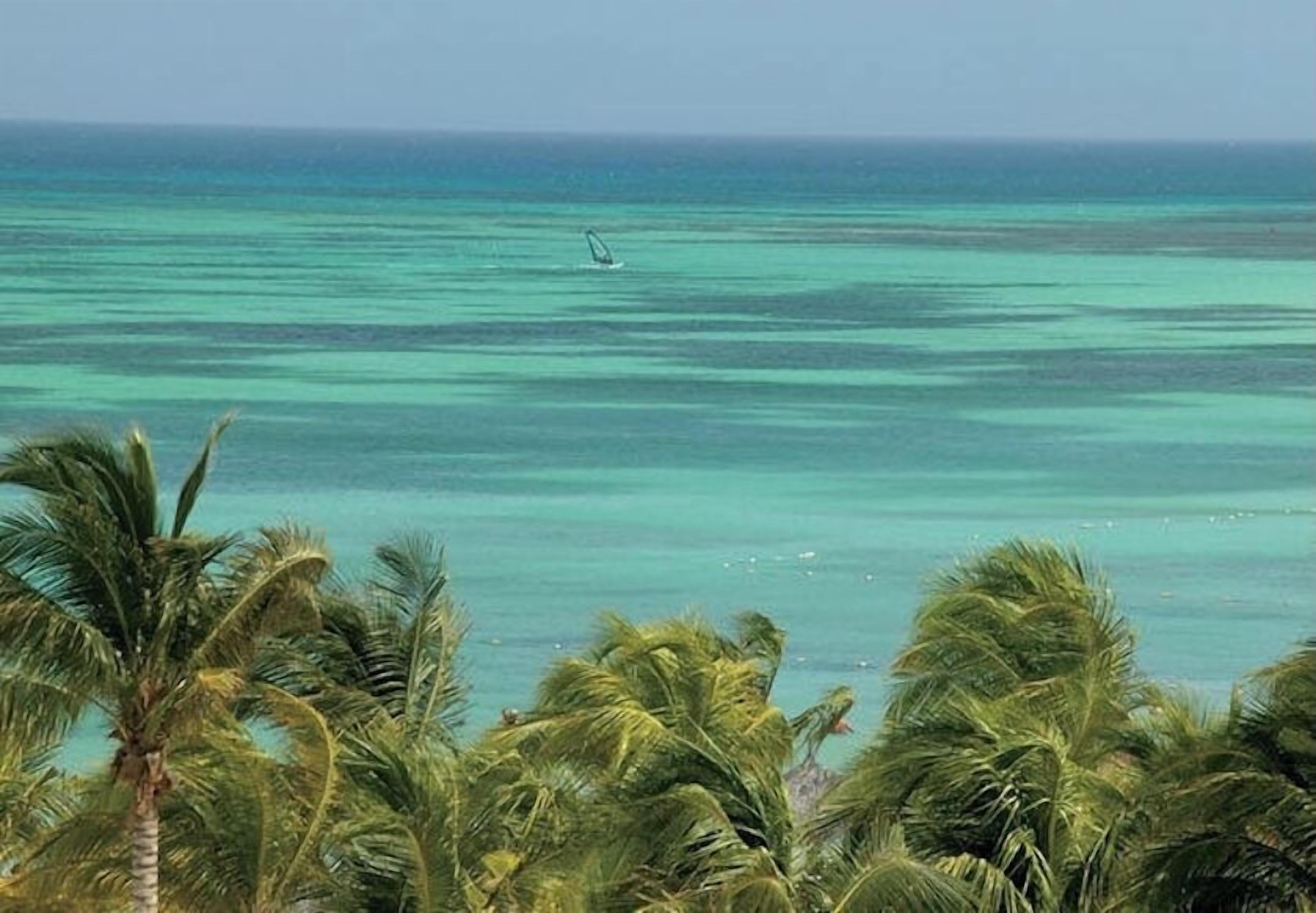 Aruba Surf Club Beachfront Resort Water View