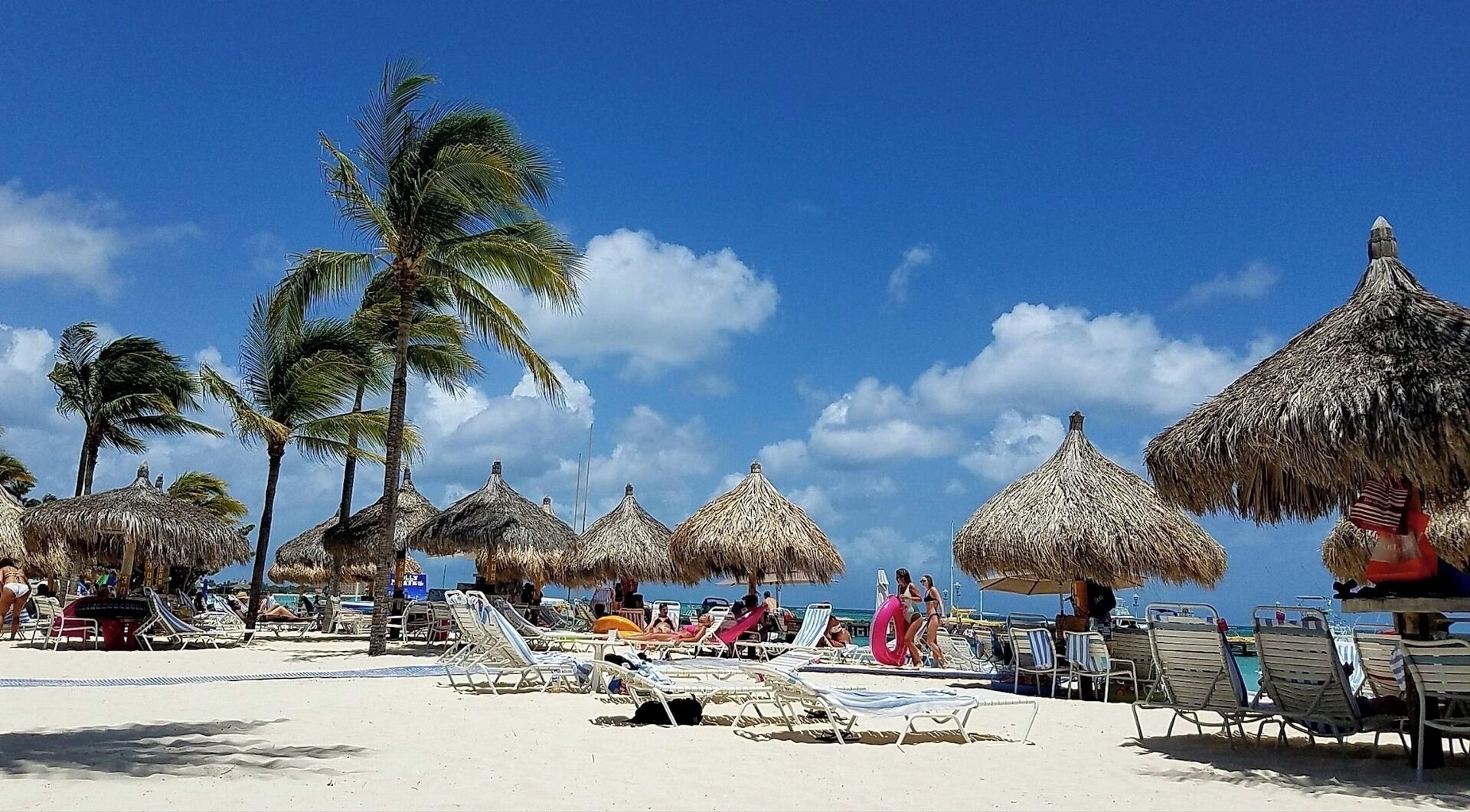 Aruba Surf Club Beachfront Resort tiki huts