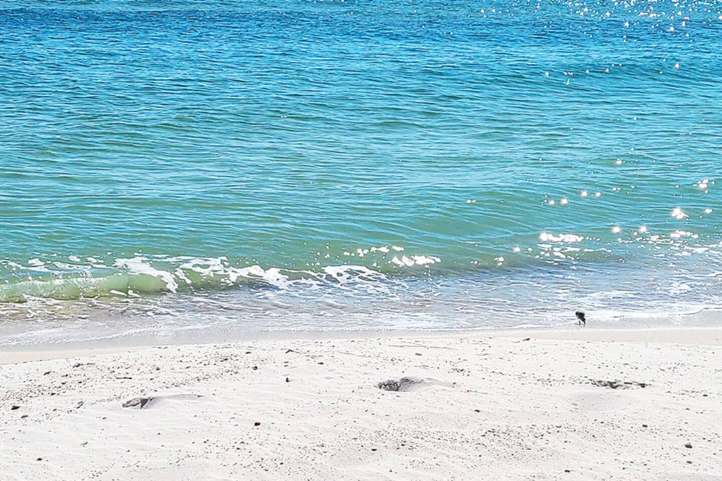 Soak up the sunshine and coastal scenery along the beautiful Gulf Coast.