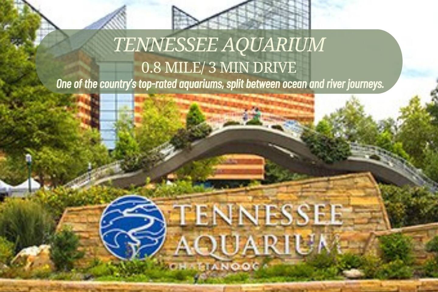Explore the Tennessee Aquarium’s incredible river and ocean exhibits, just 0.8 miles—or a quick three-minute drive—away.