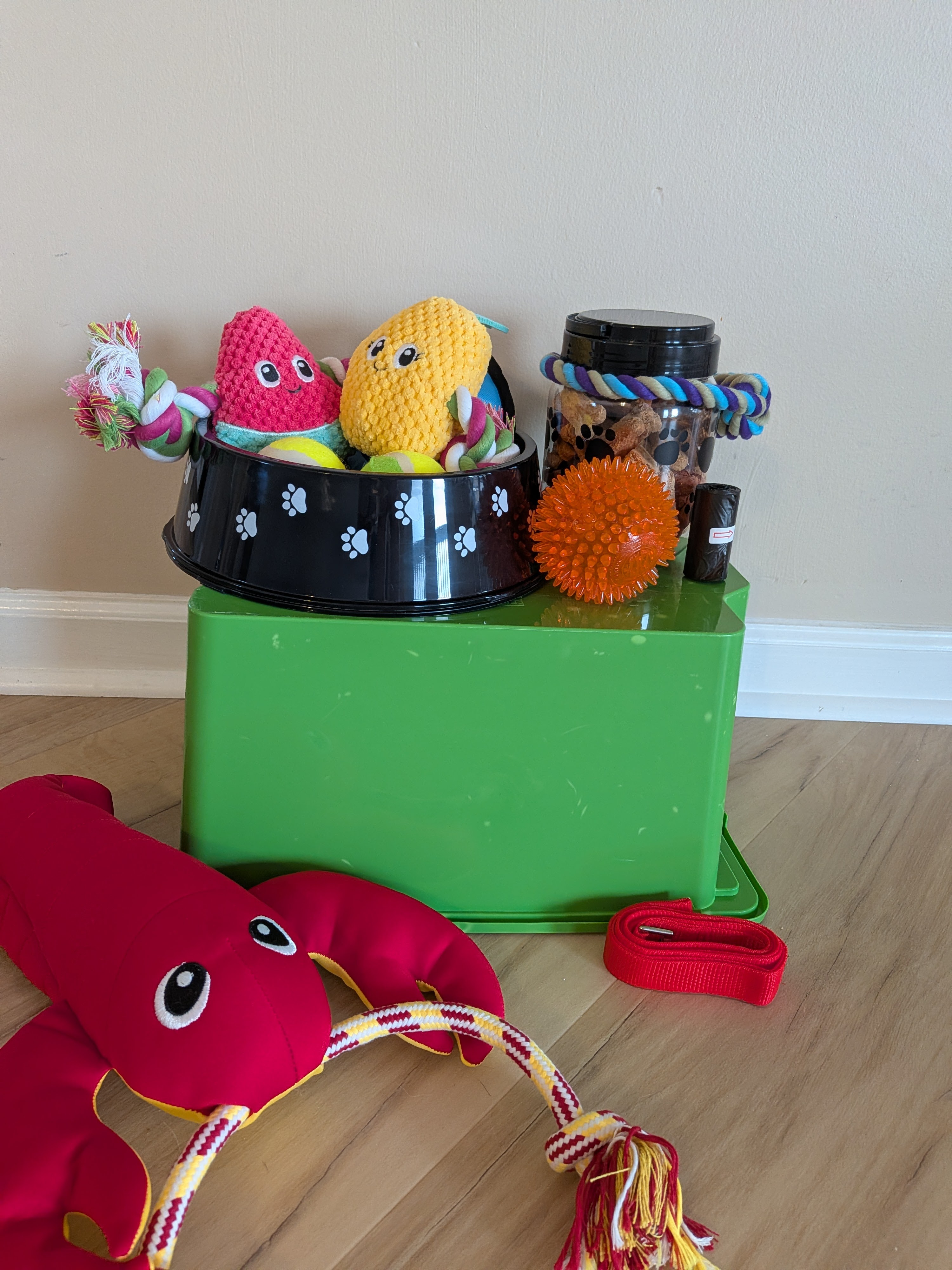 Pet-friendly touches with a stocked basket of fun dog toys