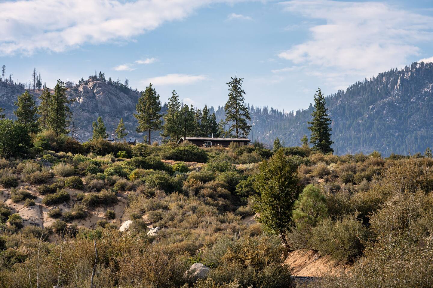 Owl's Nest at Peppermint Falls Ranch