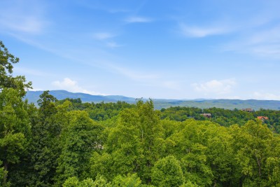This is the view you booked. Layer after layer of Blue Ridge ridgeline, framed by summer green and open sky - and it changes every hour of the day.