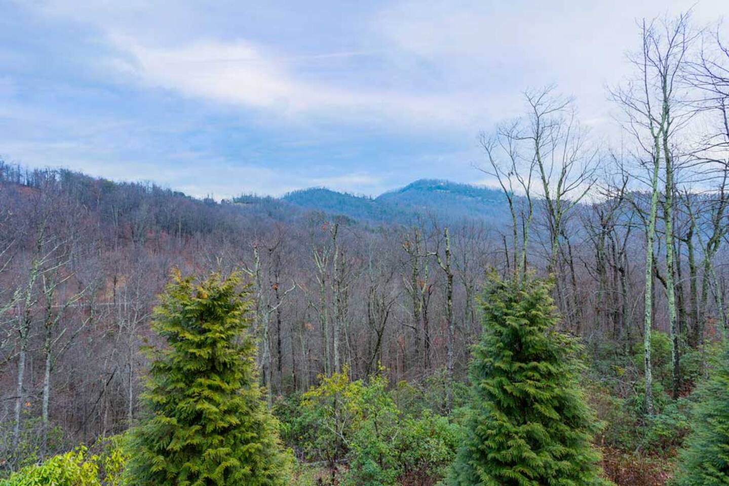 View of the Blue Ridge Mountains from the cabin during winter