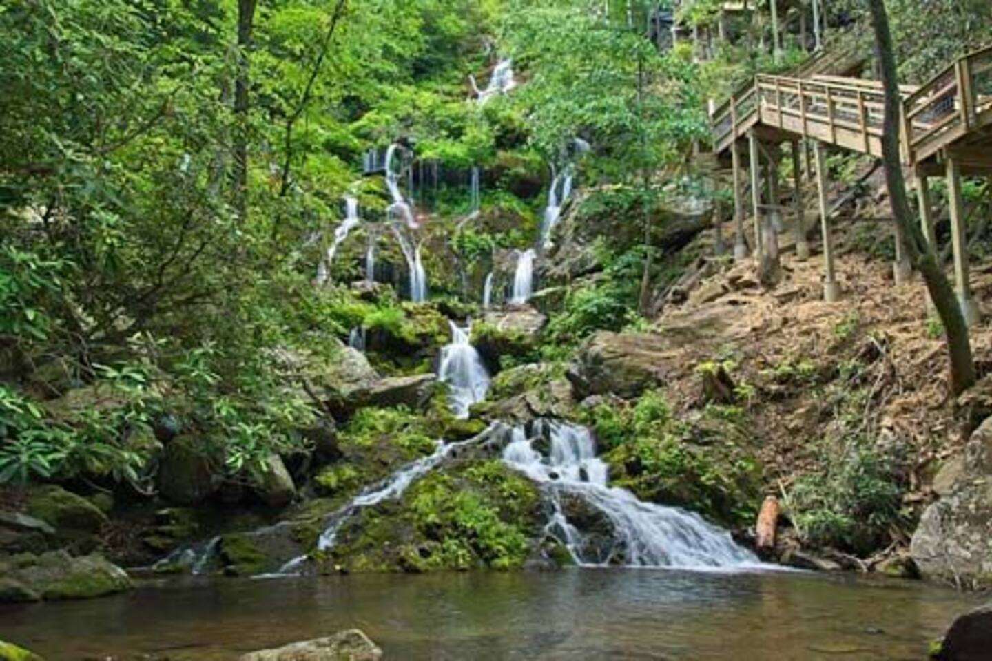 Catawba Falls Trailhead- Explore one of Western North Carolina's most iconic waterfalls.