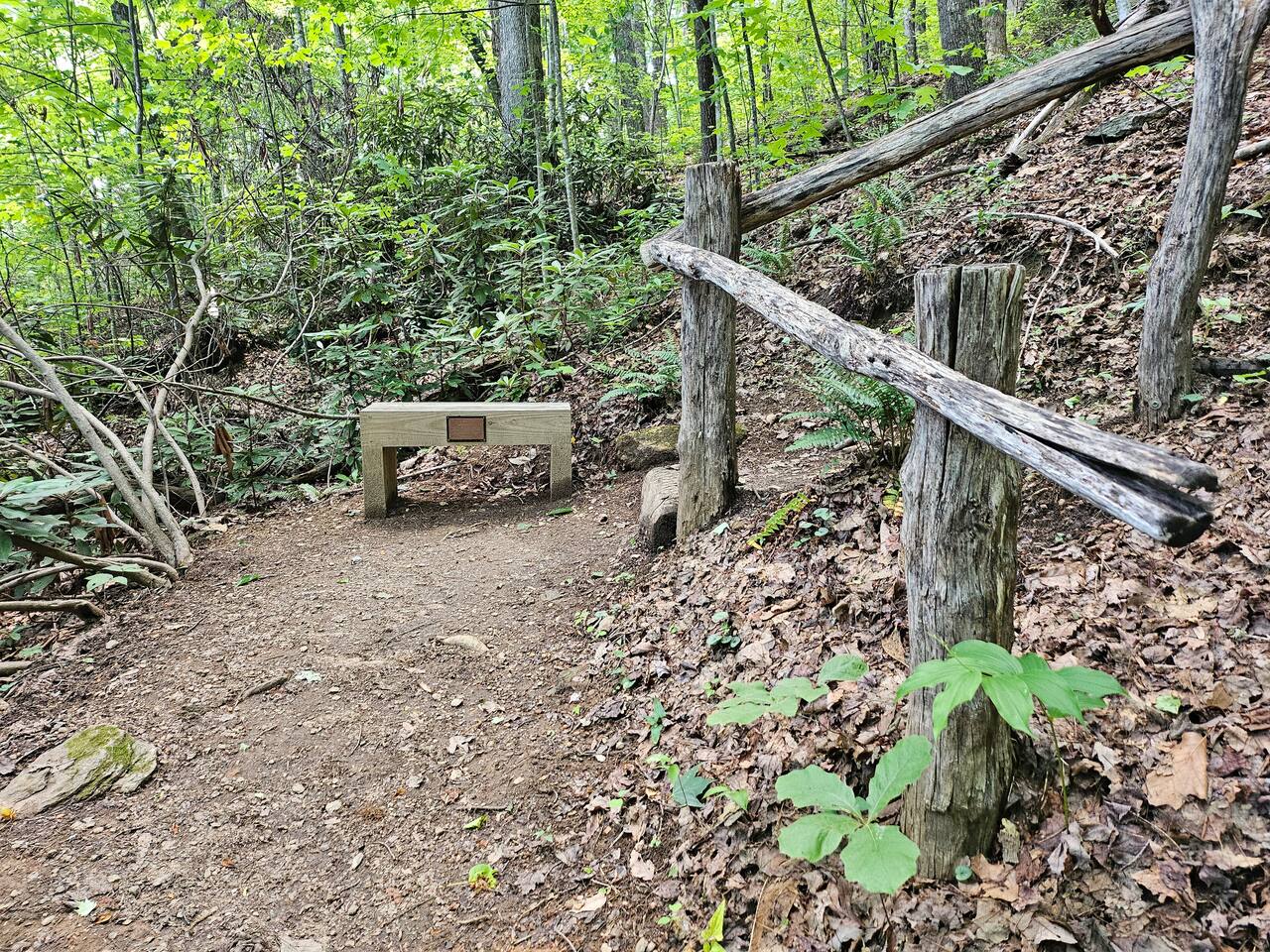 The trail is pretty short and easy, but rest here about half-way if you need too!