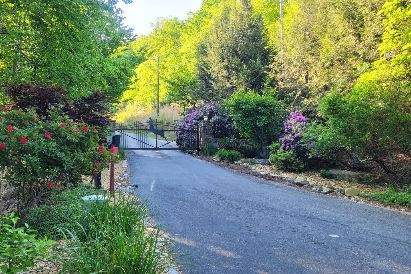 The main gate where you should enter. Wave the key card in front of the black box on the left (partially hidden by the rose bush in this photo).