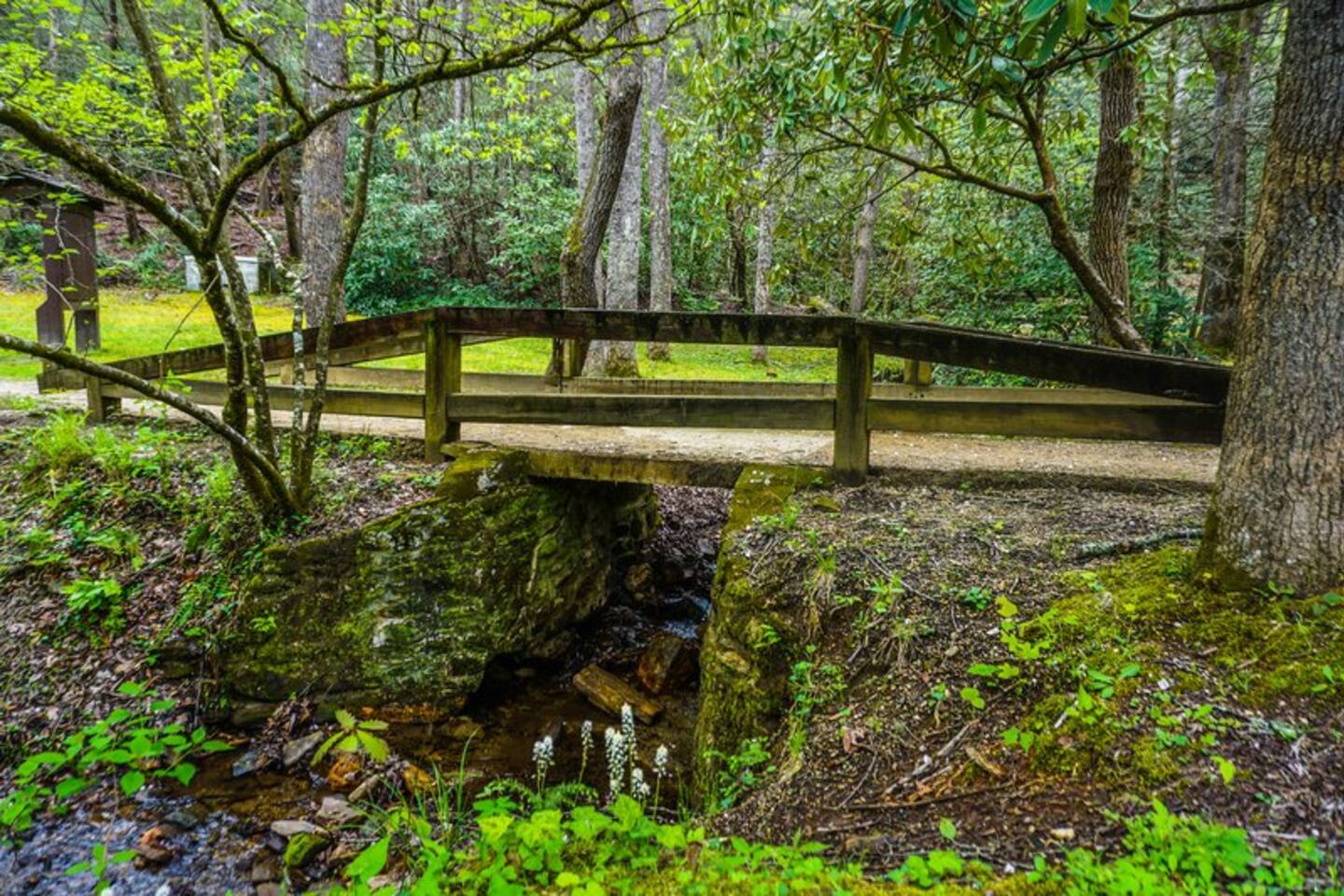 Old fort Picnic Area grab a bite to eat while enjoying the sounds of nature.
