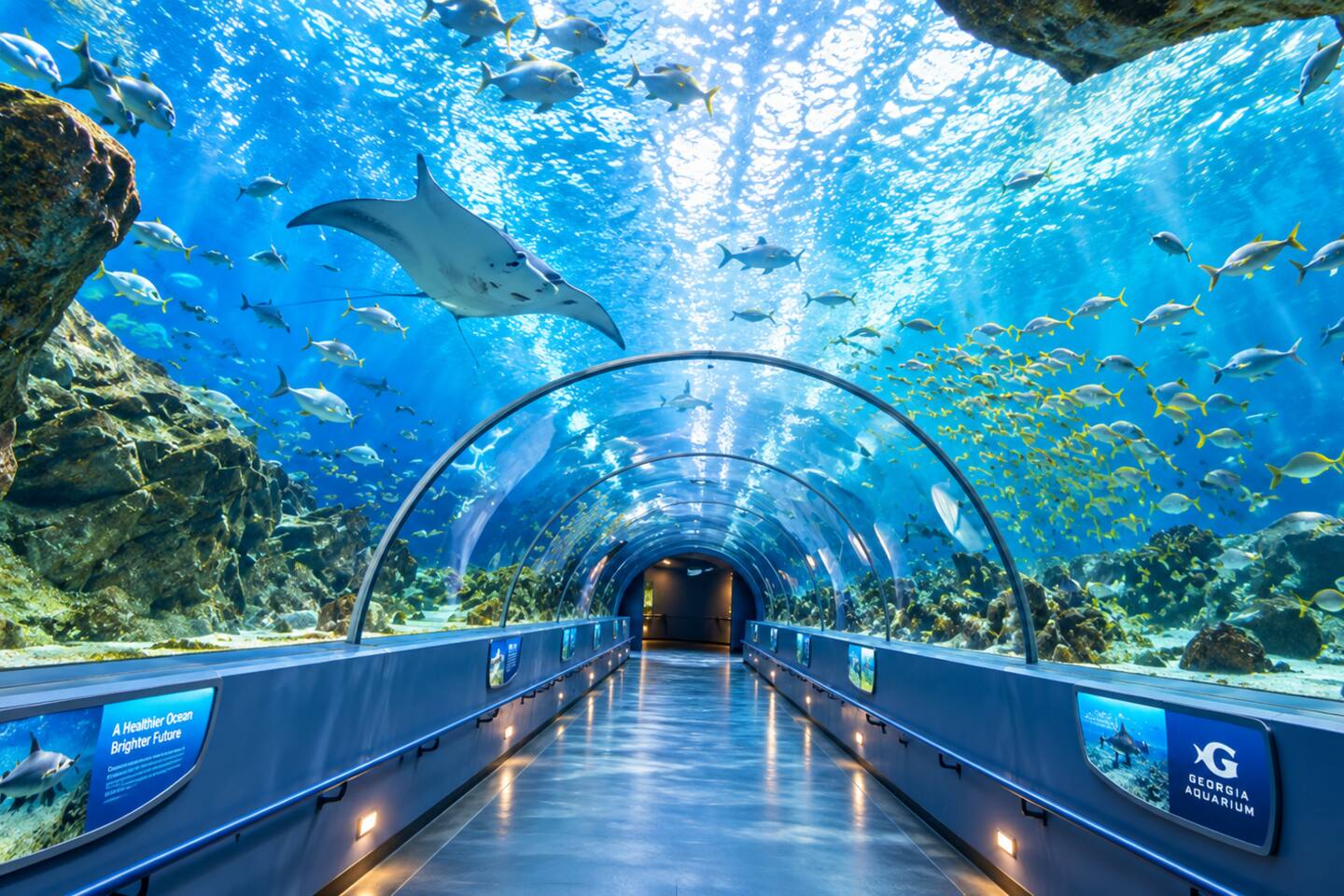 Discover the incredible underwater world at Georgia Aquarium, a popular Atlanta attraction for visitors of all ages.