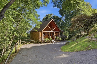 Log cabin with a peaked gable and front porch at the end of a curving paved driveway, with a wooden split-rail fence along the left edge, a sloping green lawn at right, and tall leafy trees overhead under a clear blue sky.