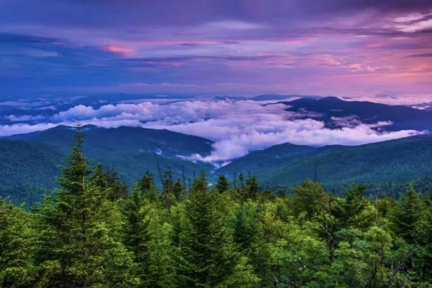 Views! Luxury New Construction ! Min to Dollywood