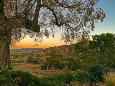 Paradise in Escondido rental in Escondido