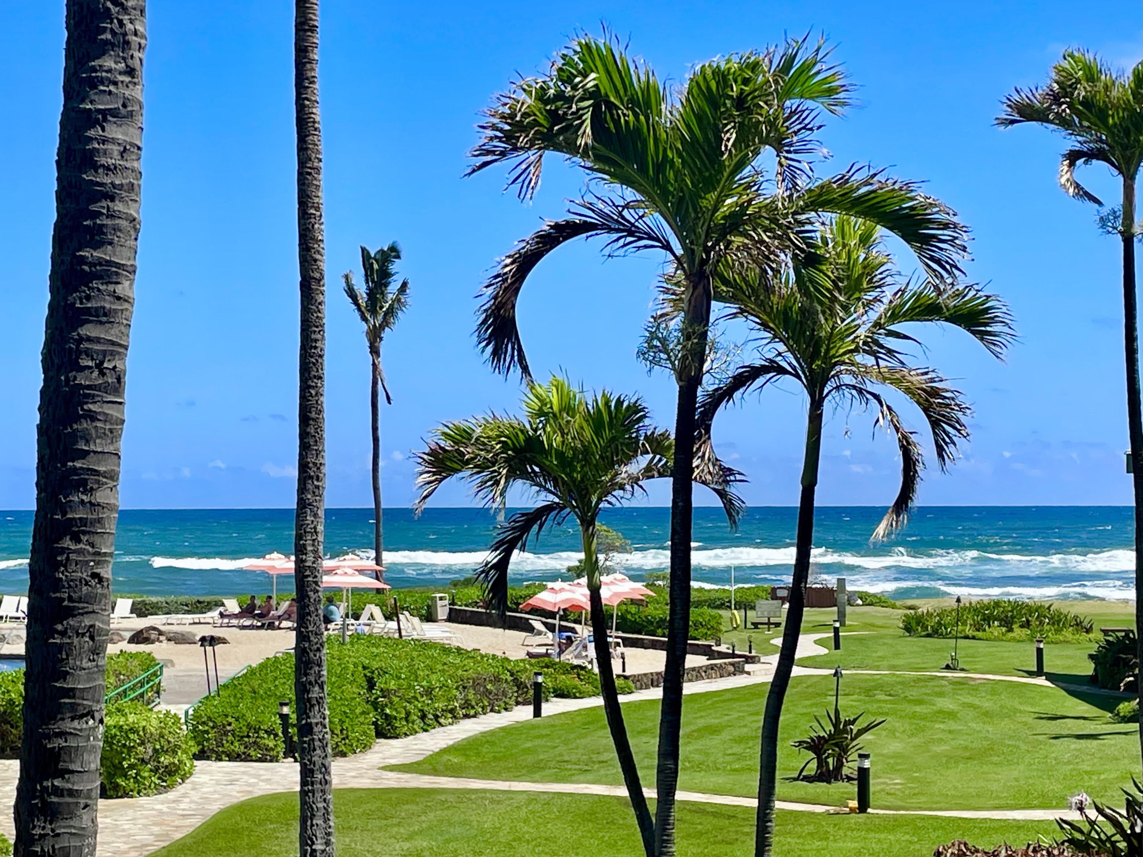 Tropical oceanfront views from lanai with palm trees, beach access, and stunning views