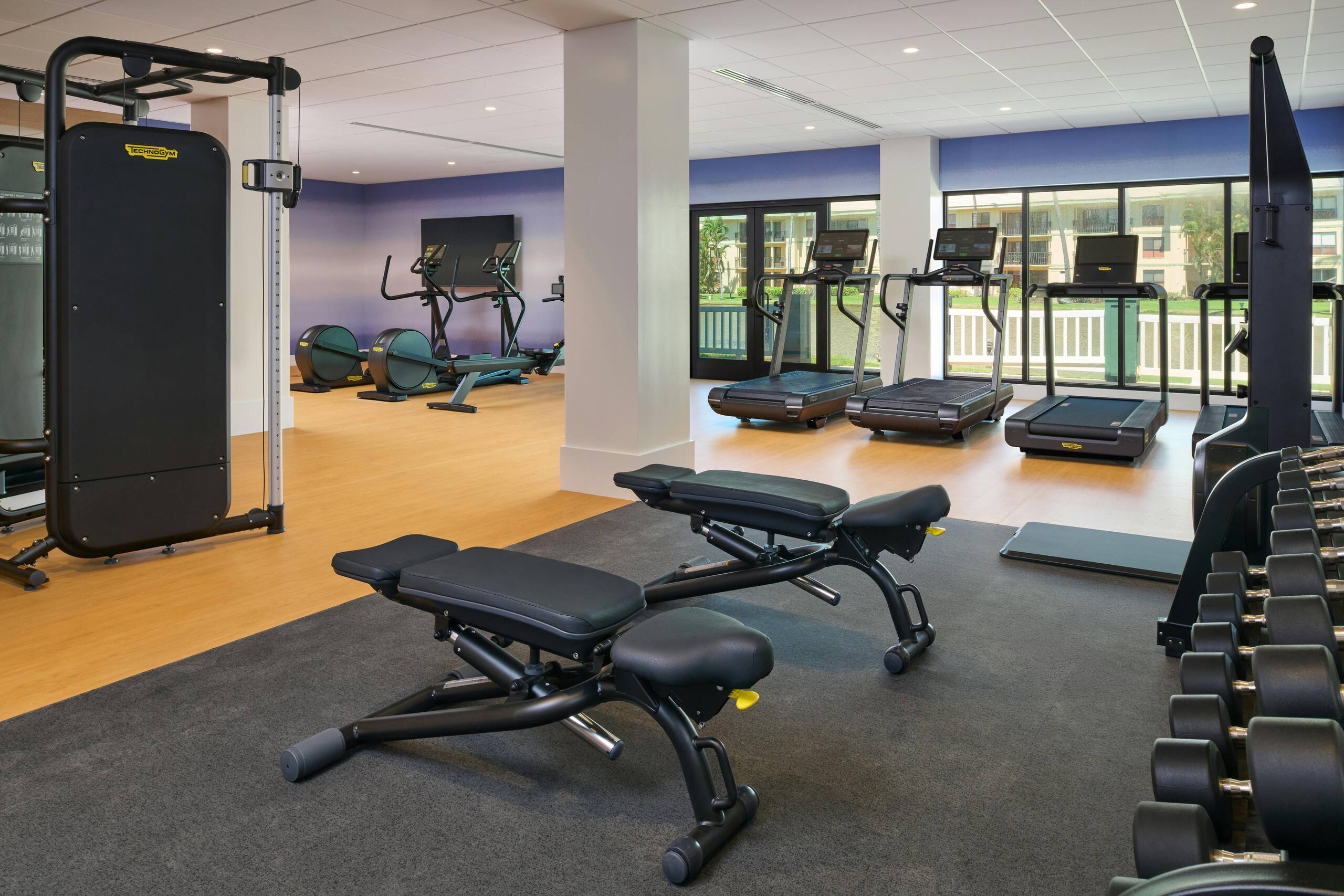 Bright, modern fitness center with cardio, weights, and strength equipment