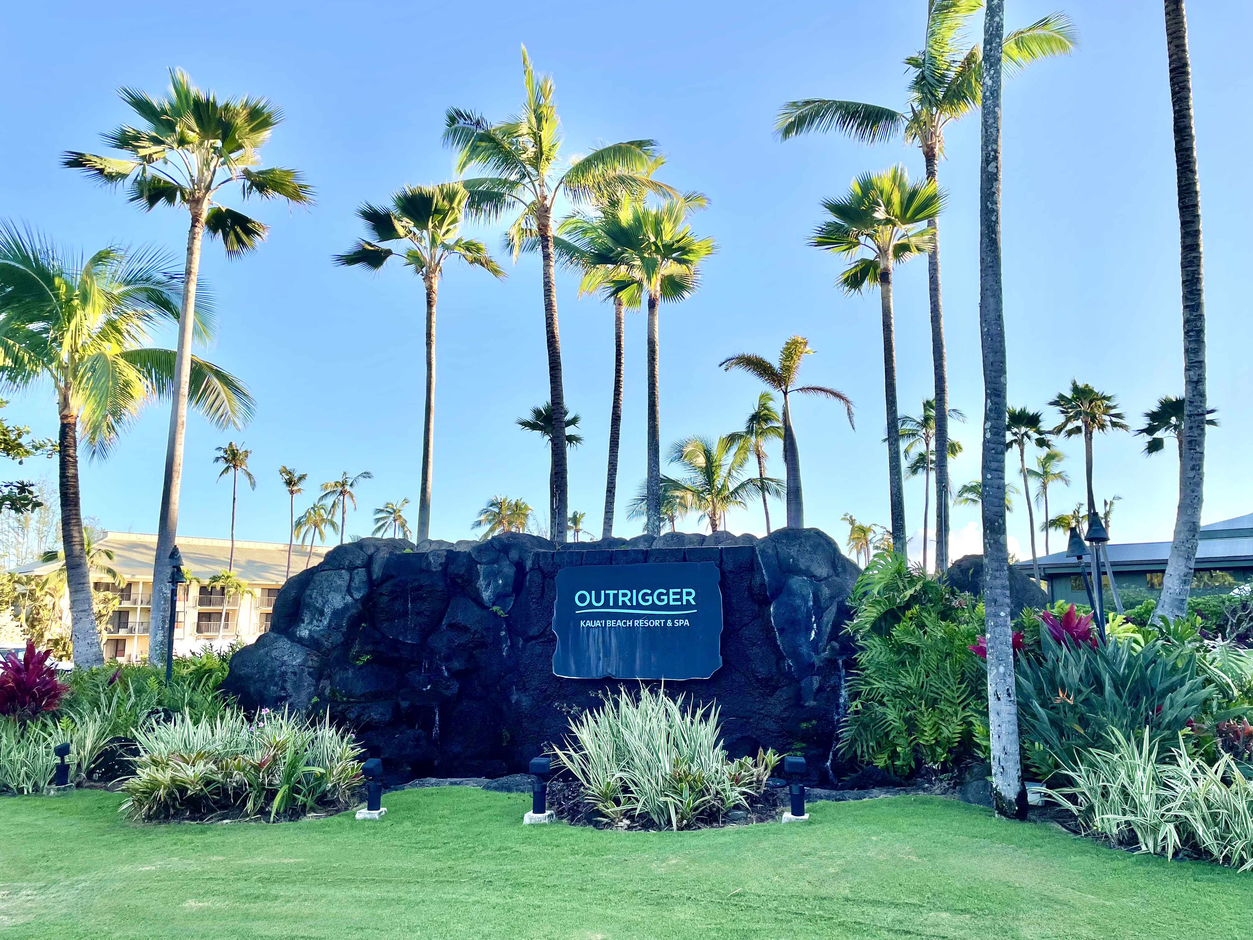 Tropical resort entrance with lush landscaping and towering palms