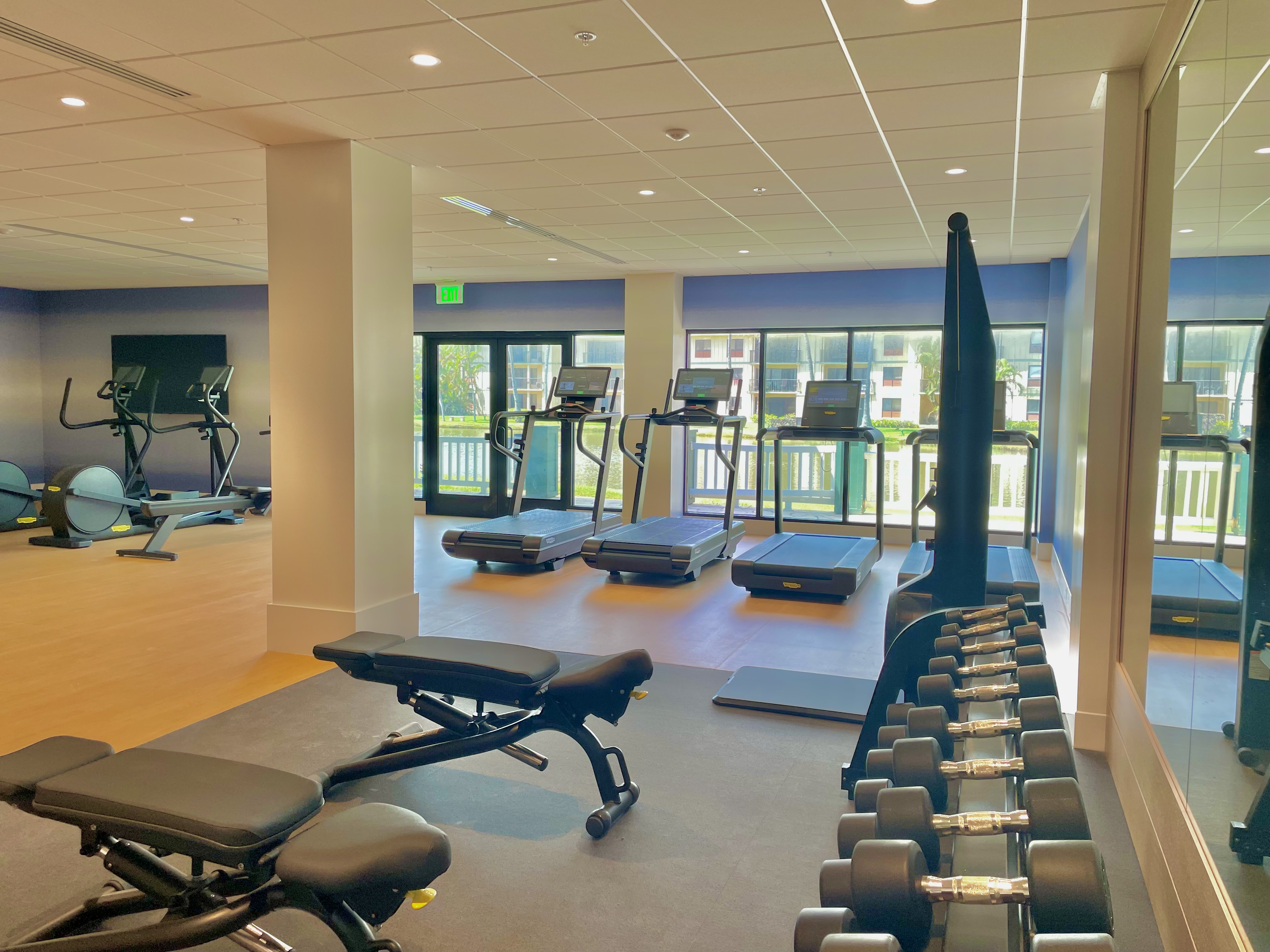 Bright, modern fitness center with treadmills, weights, and natural light