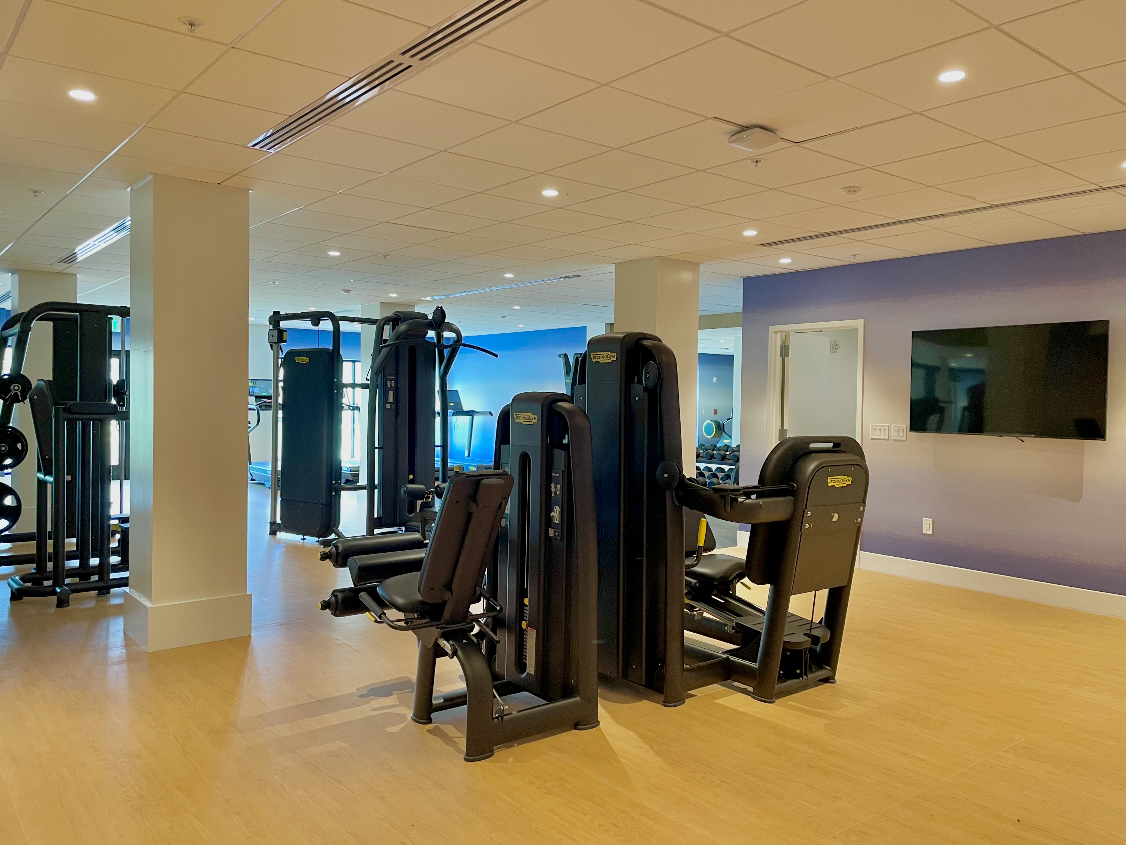 Bright, modern fitness center with strength machines and spacious layout