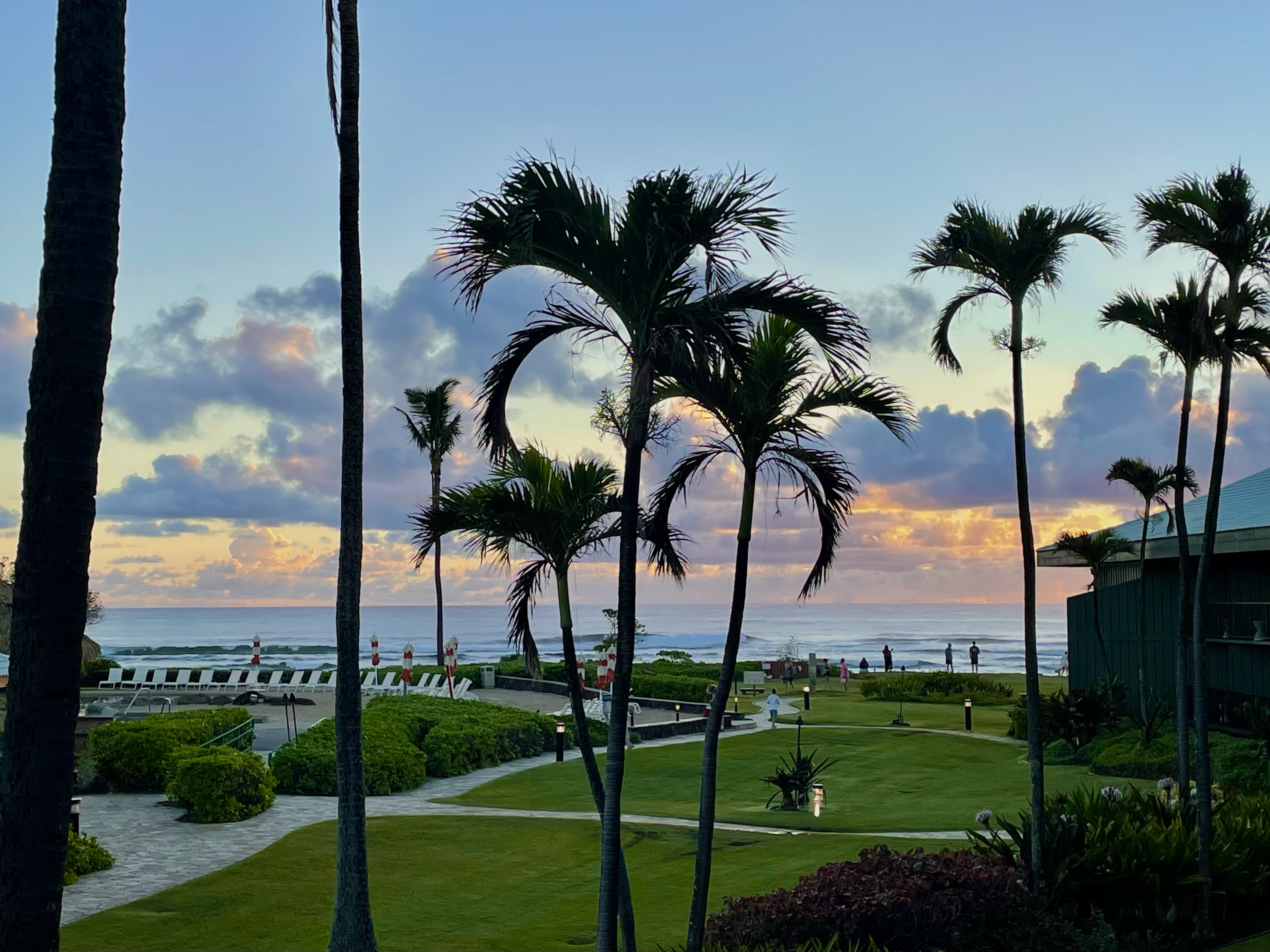Tropical oceanfront lawn and palm-framed sunrise views from the private lanai