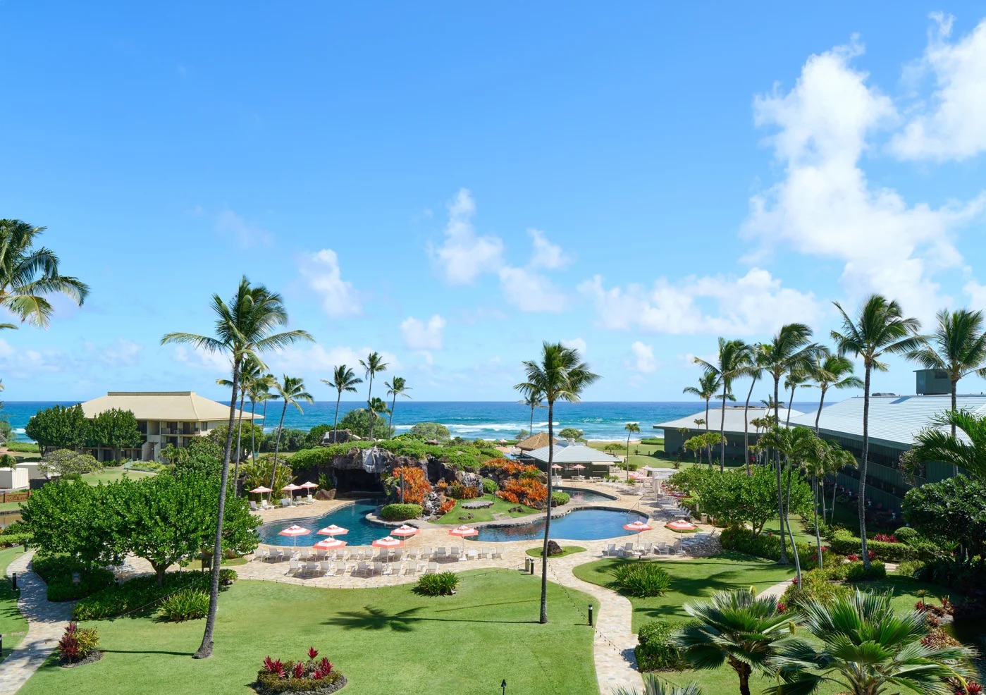 Tropical oceanview oasis with lagoon-style pool and swaying palms