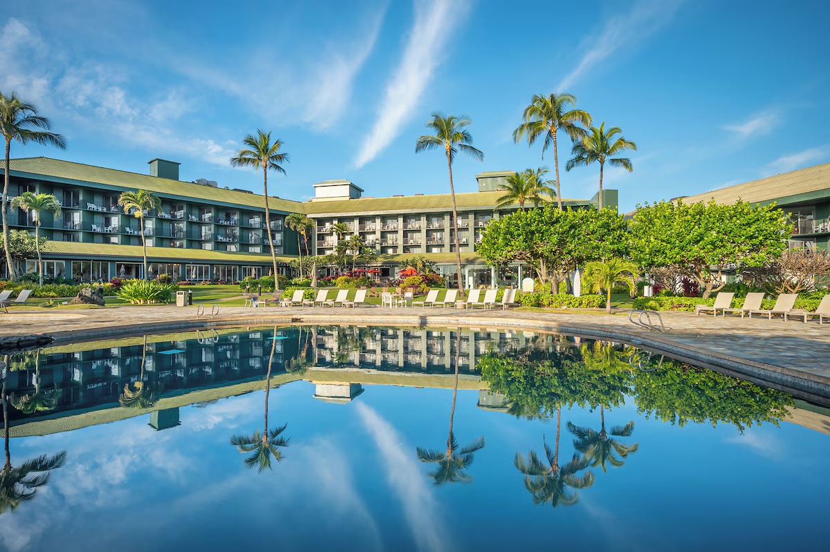 Resort-style pool with palm trees, loungers, and sunny tropical vibes