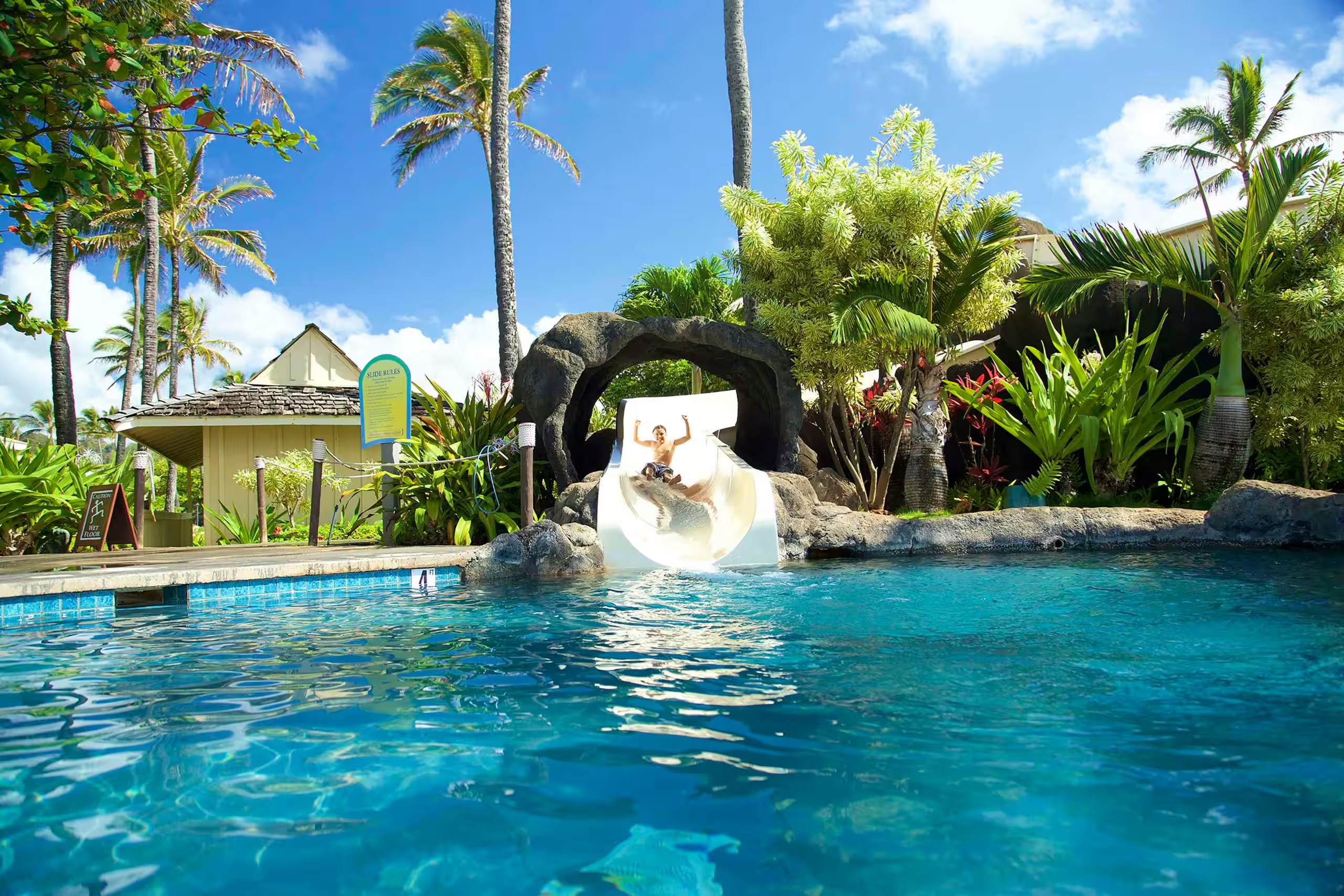 Tropical pool oasis with waterslide, palms, and crystal-clear water