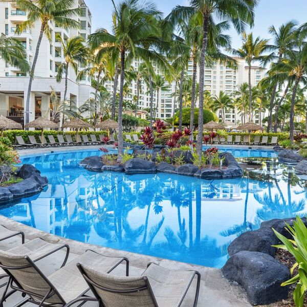 Resort-style tropical pool with palm trees and relaxing loungers