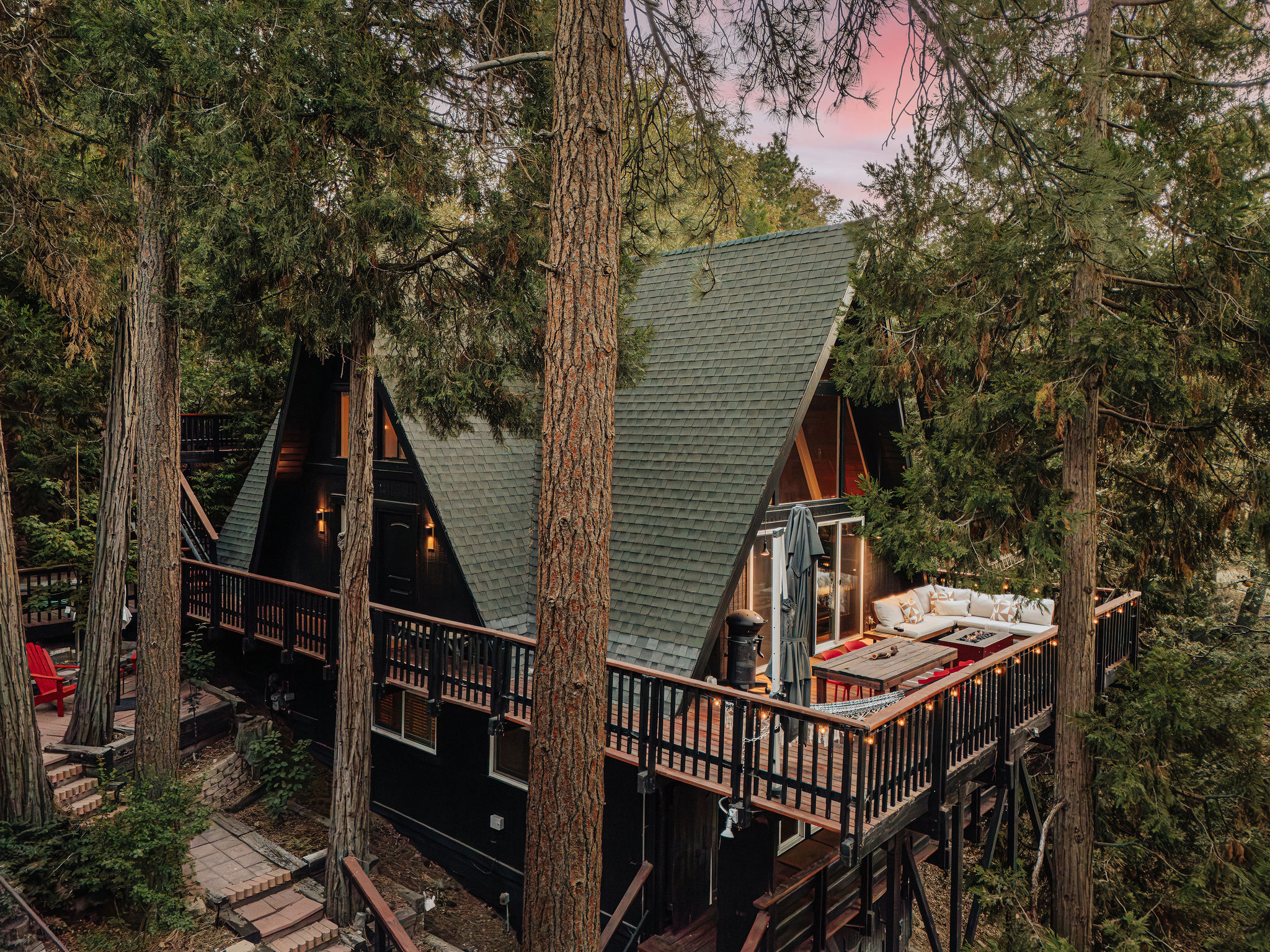 The Canopy