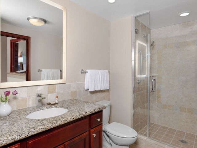 Bright bathroom with granite vanity and glass walk-in shower