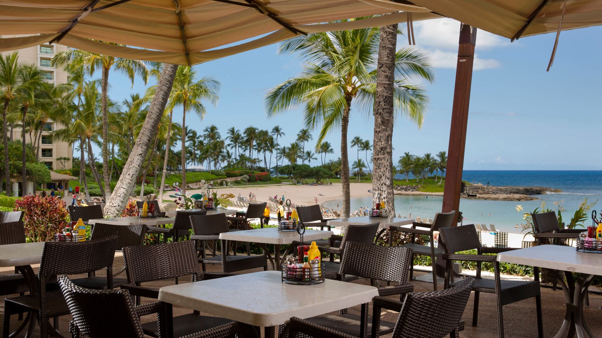 Shaded oceanview dining terrace beside a palm-lined tropical beach