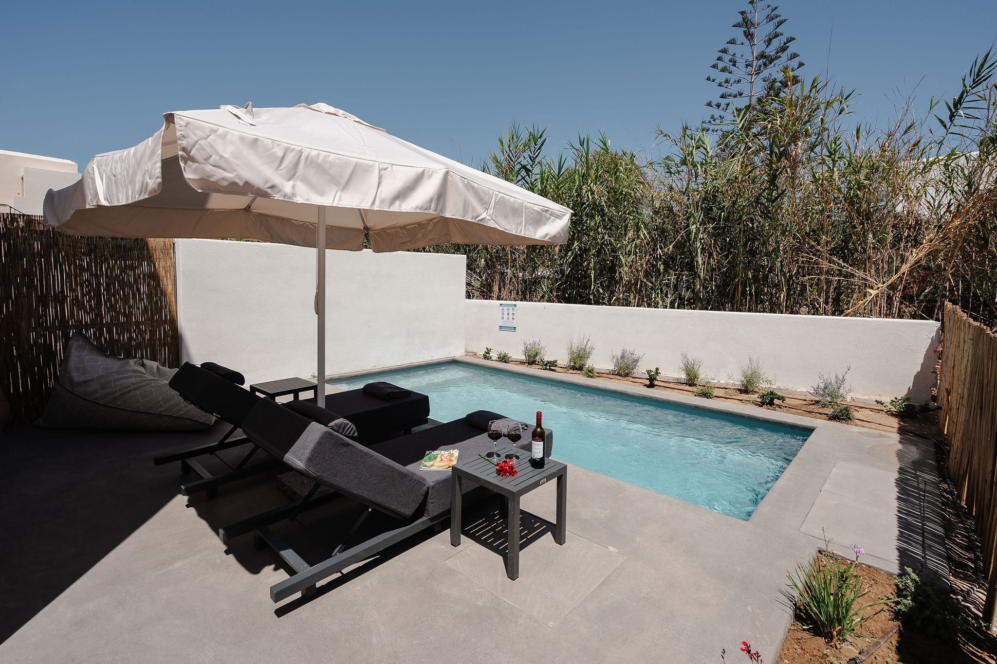 Private plunge pool with shaded loungers for a relaxing outdoor escape