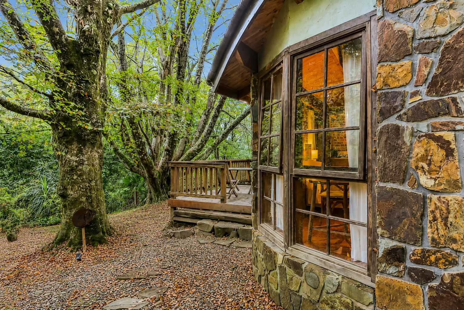Olinda Beech - 2 Bedroom
