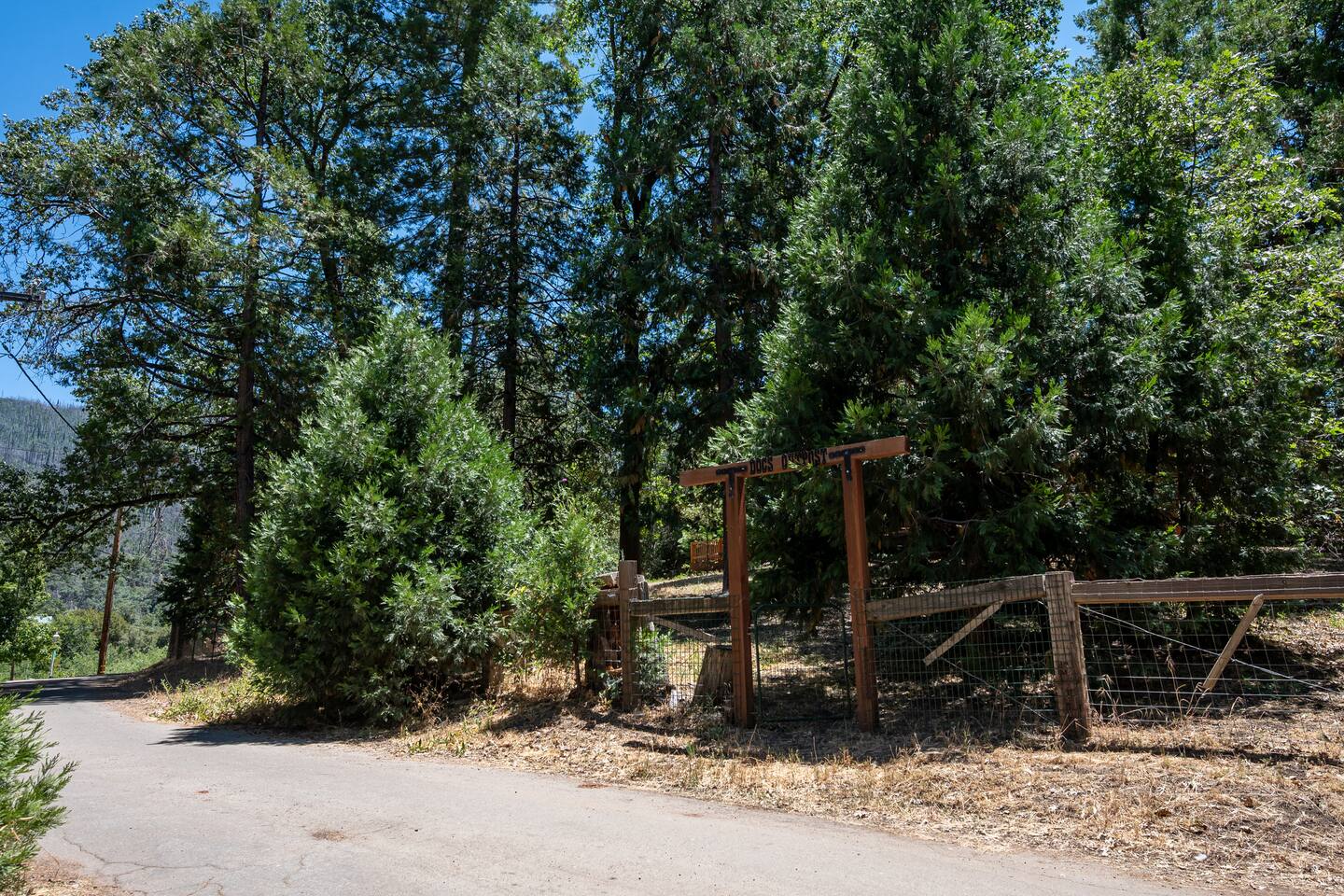 Doc's Outpost - Spacious Sequoia Cabin | Sleeps 10