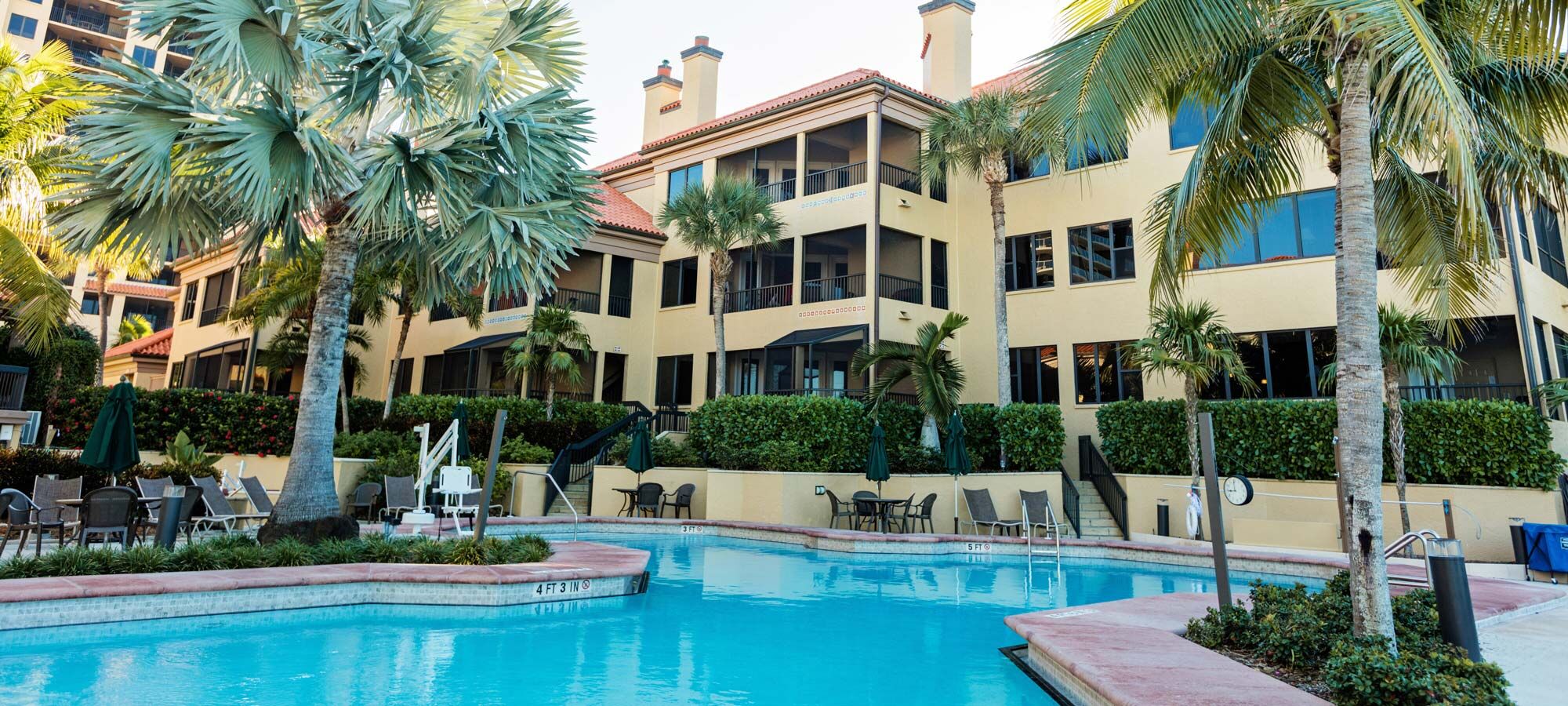 Resort-style pool oasis with palm trees, lounge seating, and tropical charm