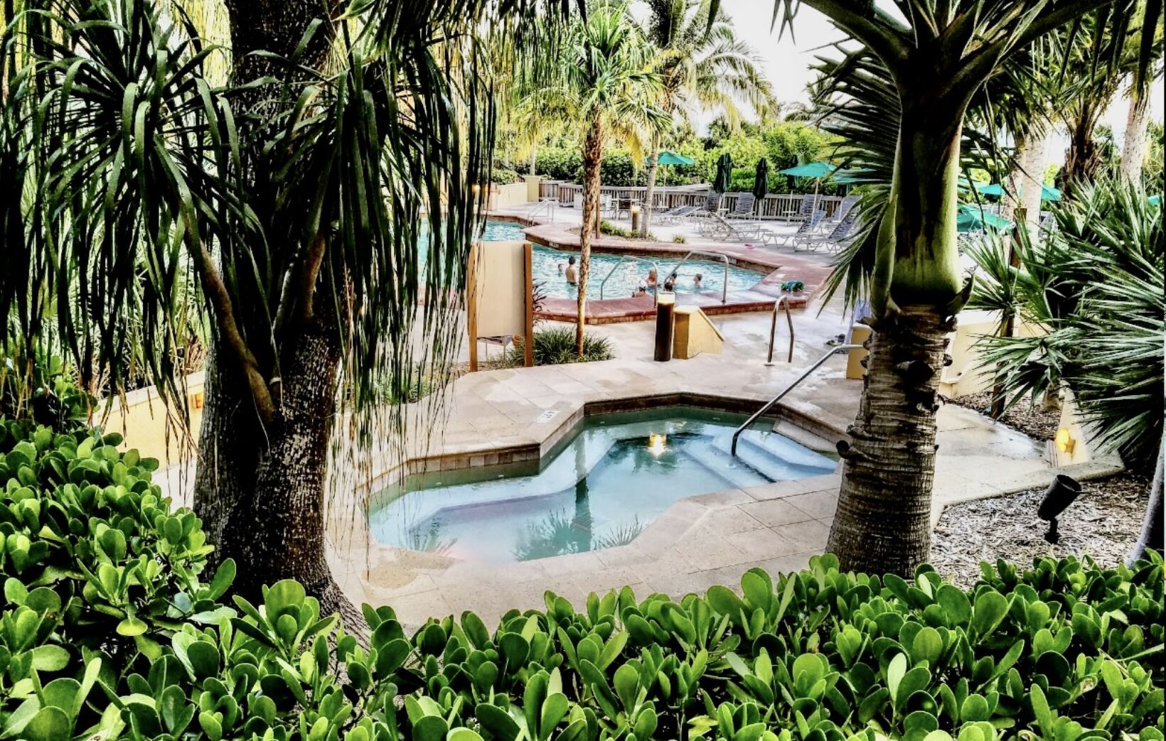 Tropical resort-style pool and spa surrounded by lush palm trees