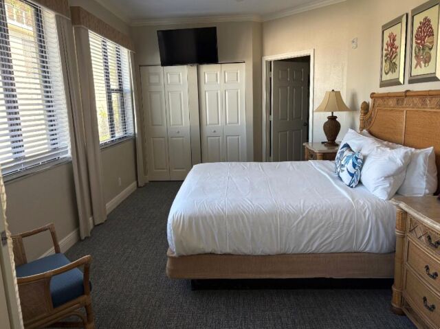 Bright king bedroom with large windows, TV, and ample closet space