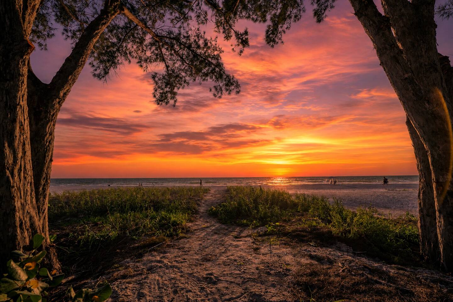 This IRB rental is so close to the beach, enjoy sunset on the Gulf from your back porch.