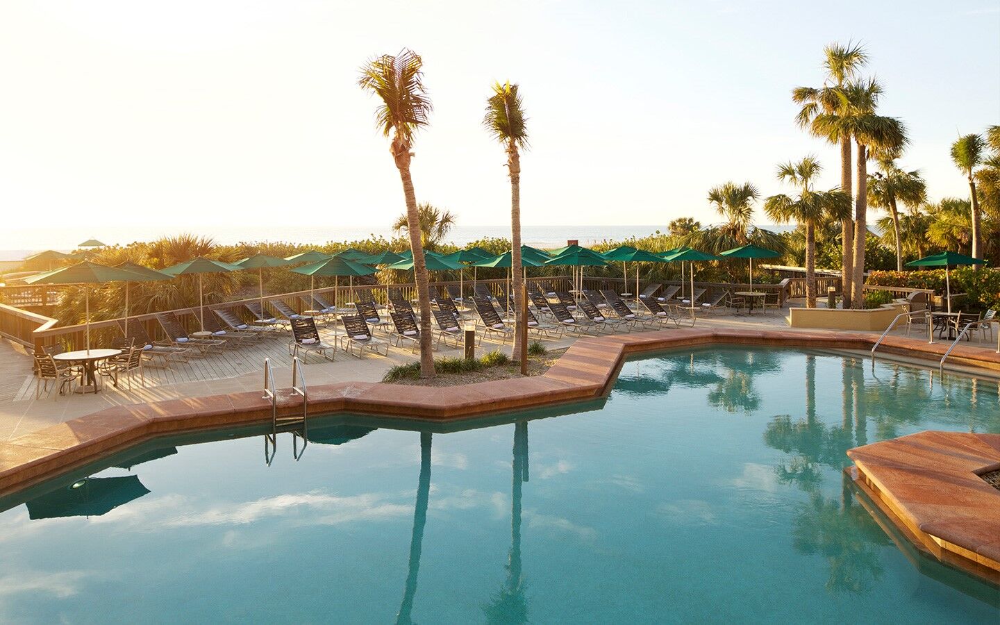 Resort-style pool deck with palm trees, loungers, and ocean views