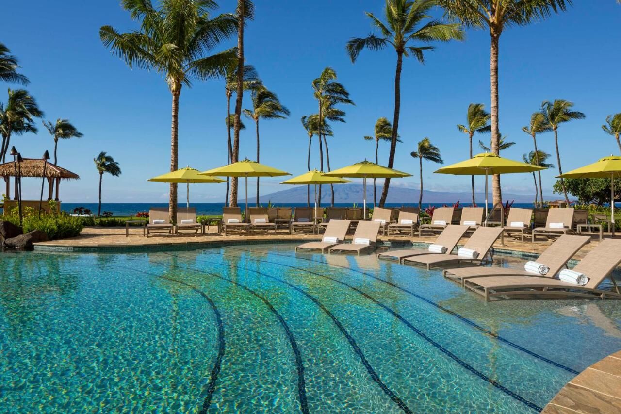 Resort-style oceanview pool with palm trees and in-water loungers