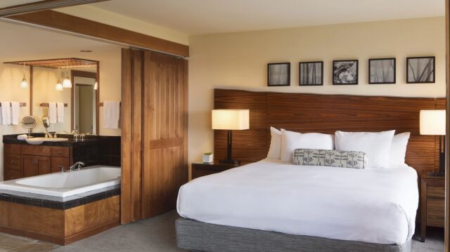 Spacious king room with soaking tub and spa-inspired bath