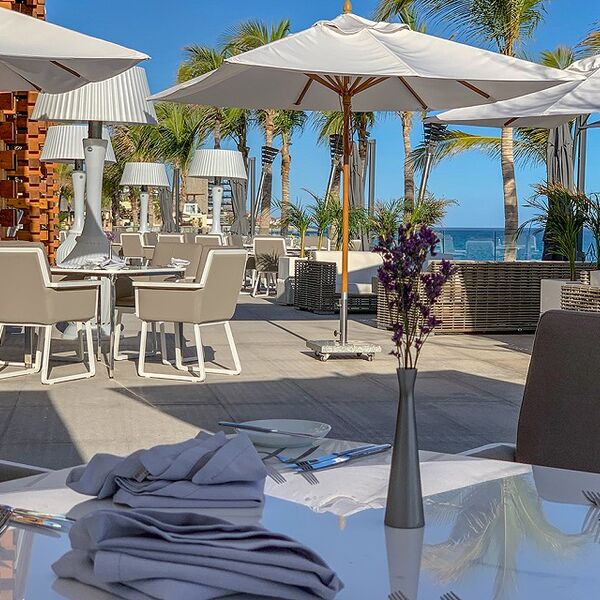 Stylish oceanview terrace dining with palm trees, loungers, and shaded seating