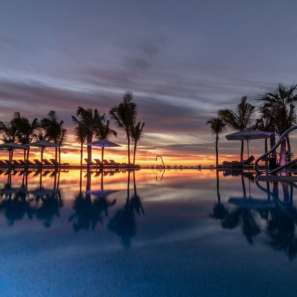Sunset infinity pool with palm-lined views and resort-style lounging