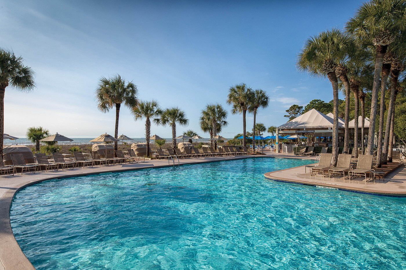 Resort-style beachfront pool with palm trees, loungers, and ocean views