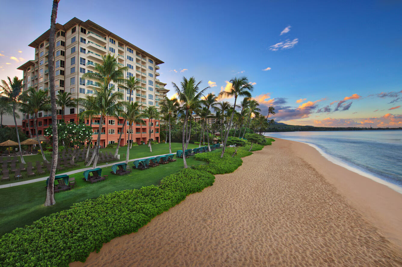 Oceanfront tropical resort with palm-lined beach and stunning sunset views