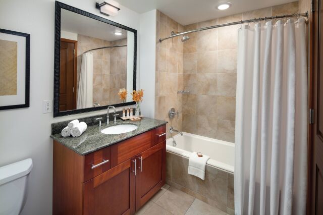 Modern bathroom with granite vanity and tiled tub-shower combo