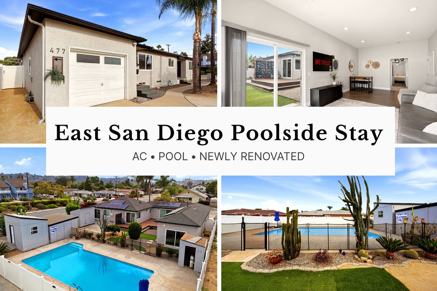 Palm & Sunshine | East San Diego