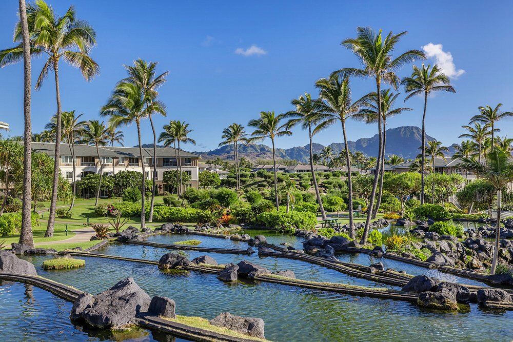 Tropical lagoons, swaying palms, and stunning mountain views