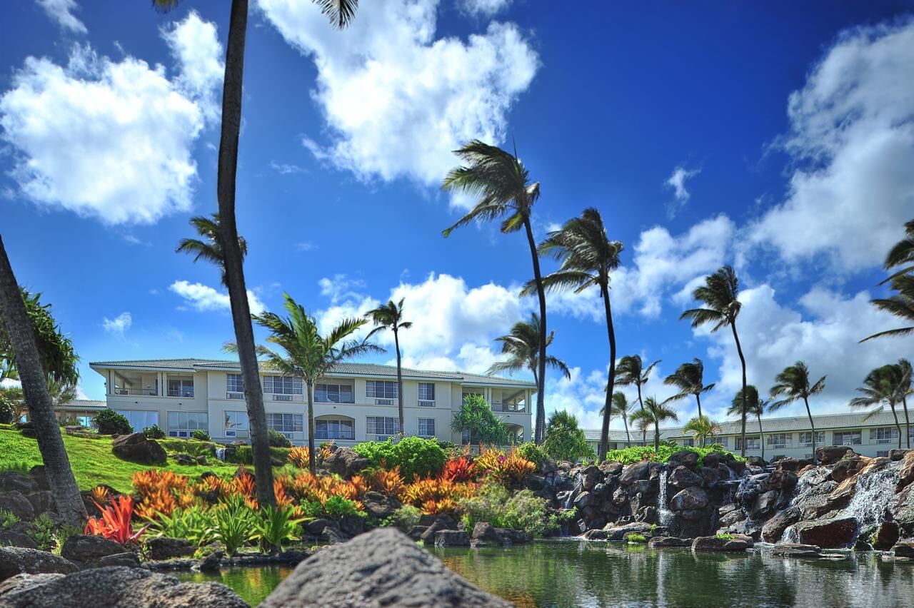 Tropical resort setting with palms, lush gardens, and a serene pond