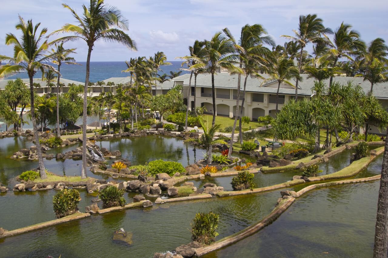 Tropical lagoon grounds with swaying palms and ocean views